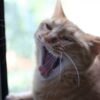 なぜ妻は夫に怒るのか？些細なことが原因で怒られるパパたちの本音
