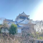 愛知県岡崎市をもっと子育てしやすい町へ！都市部とは違う岡崎市の子育て事情とは～岡崎市×パパしるべ協働事業レポート第1弾