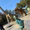 あの公園に行こう！そんなときにスマホで使える「岡崎市遊び場マップ」を作成！～岡崎市×パパしるべ協働事業レポート第5弾