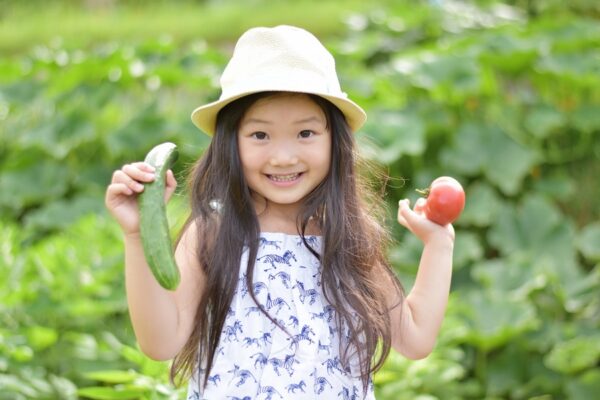 トップ3は子どもが大好きな夏野菜の王道！