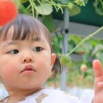 児童手当みんなどうしてる？貯金・運用？パパたちの声をアンケート