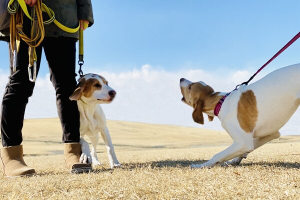 パパ友トラブルはなぜ起きる?価値観の違いですれ違う理由